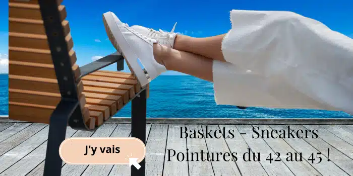Baskets sneakers grande taille 42 43 44 45